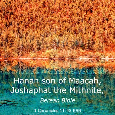 Picture 03 - 1 Chronicles 11:43 BSB - Hanan son of Maacah, Joshaphat the - Bible Verse Picture