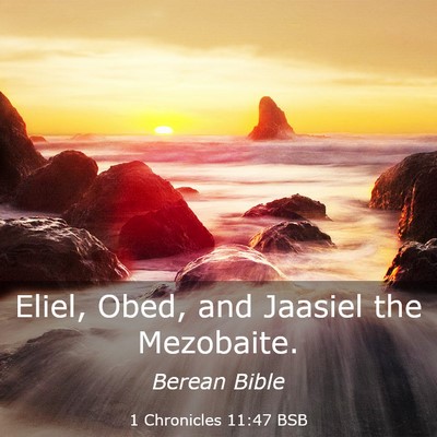 Picture 03 - 1 Chronicles 11:47 BSB - Eliel, Obed, and Jaasiel the - Bible Verse Picture