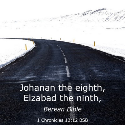 Picture 03 - 1 Chronicles 12:12 BSB - Johanan the eighth, Elzabad the - Bible Verse Picture