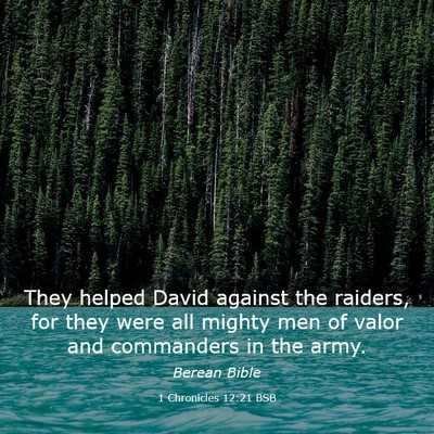 Picture 03 - 1 Chronicles 12:21 BSB - They helped David against the raiders, for they - Bible Verse Picture