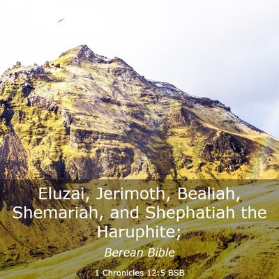 Picture 03 - 1 Chronicles 12:5 BSB - Eluzai, Jerimoth, Bealiah, Shemariah, and - Bible Verse Picture
