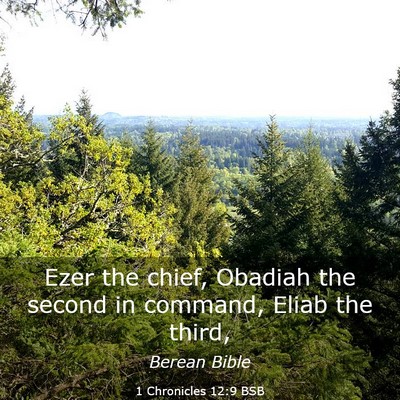 Picture 03 - 1 Chronicles 12:9 BSB - Ezer the chief, Obadiah the second in command, - Bible Verse Picture