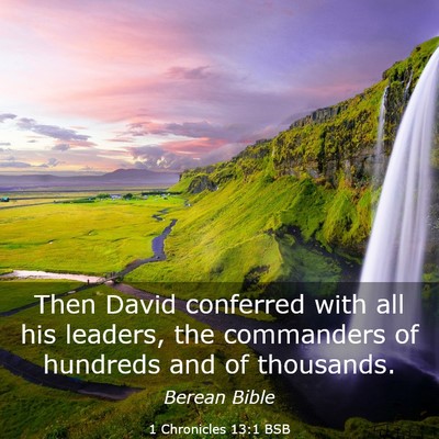 Picture 03 - 1 Chronicles 13:1 BSB - Then David conferred with all his leaders, the - Bible Verse Picture