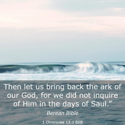 Picture 03 - 1 Chronicles 13:3 BSB - Then let us bring back the ark of our God, for we - Bible Verse Picture