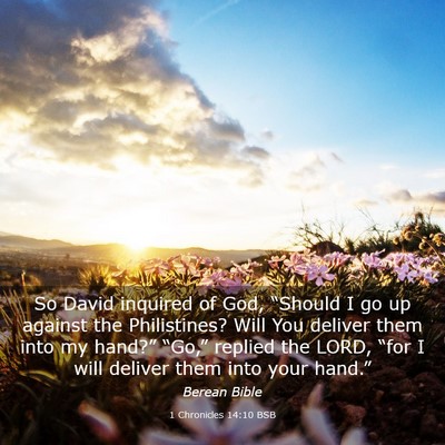 Picture 03 - 1 Chronicles 14:10 BSB - So David inquired of God, “Should I go up - Bible Verse Picture