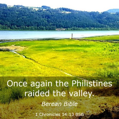Picture 03 - 1 Chronicles 14:13 BSB - Once again the Philistines raided the - Bible Verse Picture