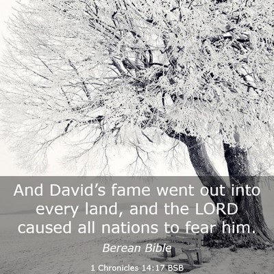 Picture 03 - 1 Chronicles 14:17 BSB - And David’s fame went out into every land, and - Bible Verse Picture