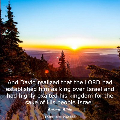 Picture 03 - 1 Chronicles 14:2 BSB - And David realized that the LORD had established - Bible Verse Picture