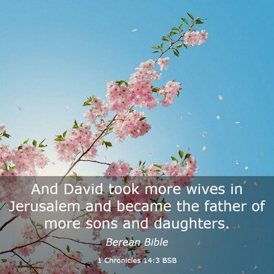 Picture 03 - 1 Chronicles 14:3 BSB - And David took more wives in Jerusalem and became - Bible Verse Picture