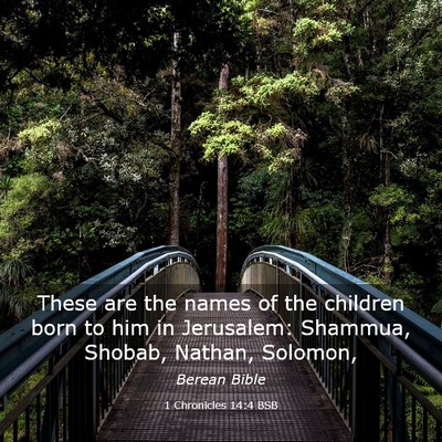 Picture 03 - 1 Chronicles 14:4 BSB - These are the names of the children born to him - Bible Verse Picture
