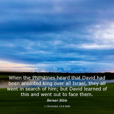 Picture 03 - 1 Chronicles 14:8 BSB - When the Philistines heard that David had been - Bible Verse Picture