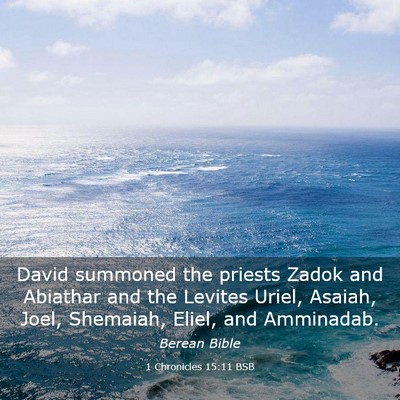 Picture 03 - 1 Chronicles 15:11 BSB - David summoned the priests Zadok and Abiathar and - Bible Verse Picture