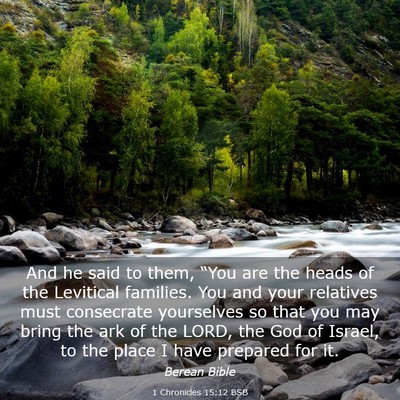 Picture 03 - 1 Chronicles 15:12 BSB - And he said to them, “You are the heads of the - Bible Verse Picture