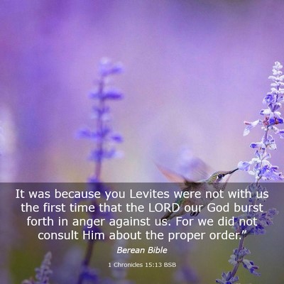 Picture 03 - 1 Chronicles 15:13 BSB - It was because you Levites were not with us the - Bible Verse Picture