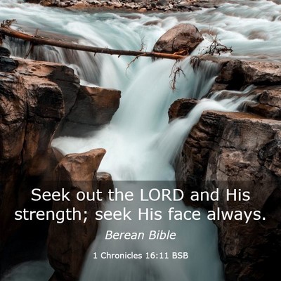 Picture 03 - 1 Chronicles 16:11 BSB - Seek out the LORD and His strength; seek His face - Bible Verse Picture