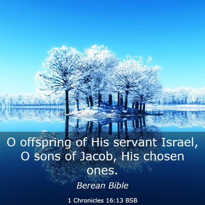 Picture 03 - 1 Chronicles 16:13 BSB - O offspring of His servant Israel, O sons of - Bible Verse Picture