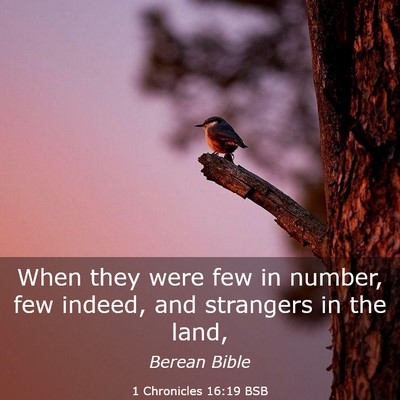 Picture 03 - 1 Chronicles 16:19 BSB - When they were few in number, few indeed, and - Bible Verse Picture