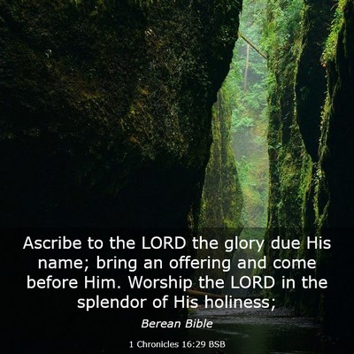 Picture 03 - 1 Chronicles 16:29 BSB - Ascribe to the LORD the glory due His name; bring - Bible Verse Picture