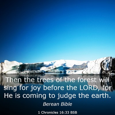 Picture 03 - 1 Chronicles 16:33 BSB - Then the trees of the forest will sing for joy - Bible Verse Picture