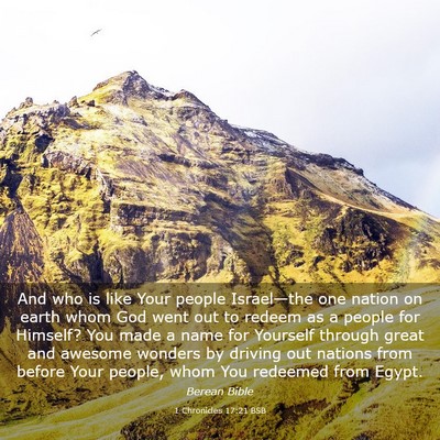 Picture 03 - 1 Chronicles 17:21 BSB - And who is like Your people Israel—the one - Bible Verse Picture