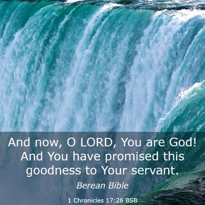 Picture 03 - 1 Chronicles 17:26 BSB - And now, O LORD, You are God! And You have - Bible Verse Picture