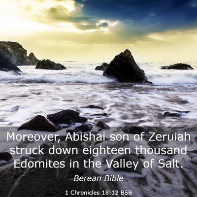 Picture 03 - 1 Chronicles 18:12 BSB - Moreover, Abishai son of Zeruiah struck down - Bible Verse Picture