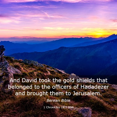 Picture 03 - 1 Chronicles 18:7 BSB - And David took the gold shields that belonged to - Bible Verse Picture
