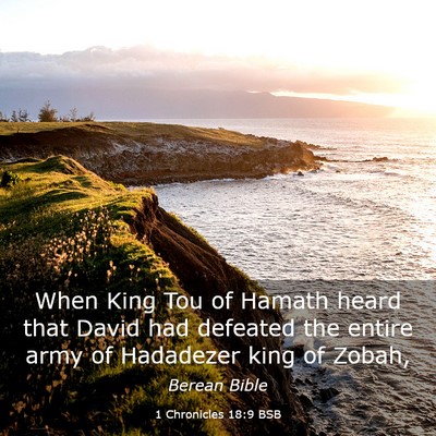 Picture 03 - 1 Chronicles 18:9 BSB - When King Tou of Hamath heard that David had - Bible Verse Picture