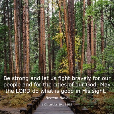Picture 03 - 1 Chronicles 19:13 BSB - Be strong and let us fight bravely for our people - Bible Verse Picture