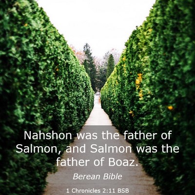 Picture 03 - 1 Chronicles 2:11 BSB - Nahshon was the father of Salmon, and Salmon was - Bible Verse Picture