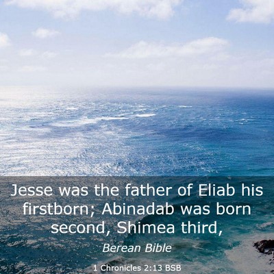 Picture 03 - 1 Chronicles 2:13 BSB - Jesse was the father of Eliab his firstborn; - Bible Verse Picture