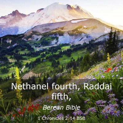 Picture 03 - 1 Chronicles 2:14 BSB - Nethanel fourth, Raddai - Bible Verse Picture