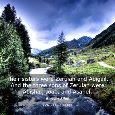 Picture 03 - 1 Chronicles 2:16 BSB - Their sisters were Zeruiah and Abigail. And the - Bible Verse Picture