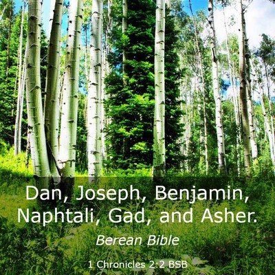 Picture 03 - 1 Chronicles 2:2 BSB - Dan, Joseph, Benjamin, Naphtali, Gad, and - Bible Verse Picture