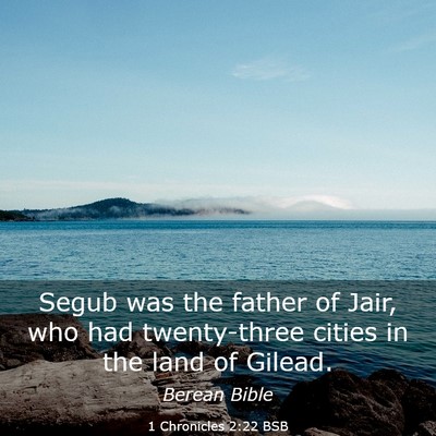 Picture 03 - 1 Chronicles 2:22 BSB - Segub was the father of Jair, who had - Bible Verse Picture