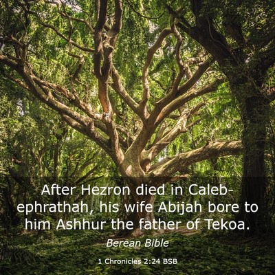 Picture 03 - 1 Chronicles 2:24 BSB - After Hezron died in Caleb-ephrathah, his wife - Bible Verse Picture