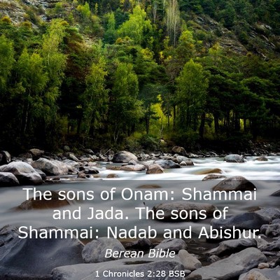 Picture 03 - 1 Chronicles 2:28 BSB - The sons of Onam: Shammai and Jada. The sons of - Bible Verse Picture