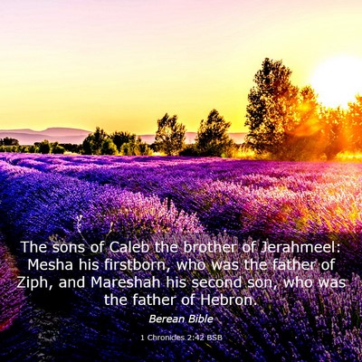 Picture 03 - 1 Chronicles 2:42 BSB - The sons of Caleb the brother of Jerahmeel: Mesha - Bible Verse Picture