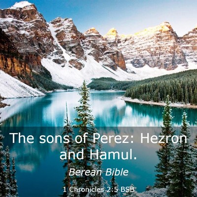 Picture 03 - 1 Chronicles 2:5 BSB - The sons of Perez: Hezron and - Bible Verse Picture