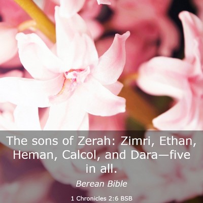 Picture 03 - 1 Chronicles 2:6 BSB - The sons of Zerah: Zimri, Ethan, Heman, Calcol, - Bible Verse Picture