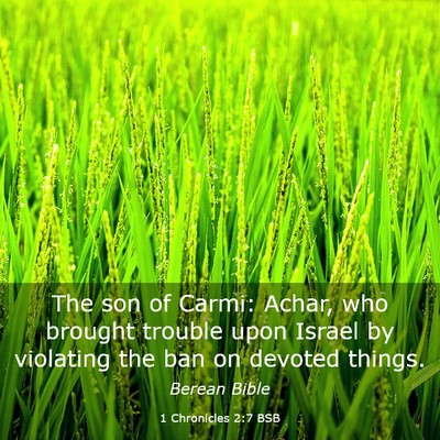 Picture 03 - 1 Chronicles 2:7 BSB - The son of Carmi: Achar, who brought trouble upon - Bible Verse Picture