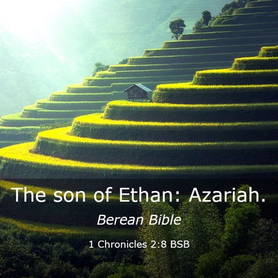 Picture 03 - 1 Chronicles 2:8 BSB - The son of Ethan: - Bible Verse Picture