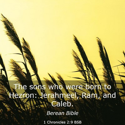 Picture 03 - 1 Chronicles 2:9 BSB - The sons who were born to Hezron: Jerahmeel, Ram, - Bible Verse Picture