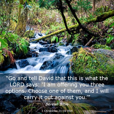 Picture 03 - 1 Chronicles 21:10 BSB - “Go and tell David that this is what the LORD - Bible Verse Picture