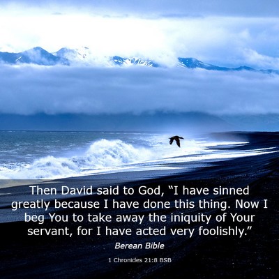 Picture 03 - 1 Chronicles 21:8 BSB - Then David said to God, “I have sinned greatly - Bible Verse Picture
