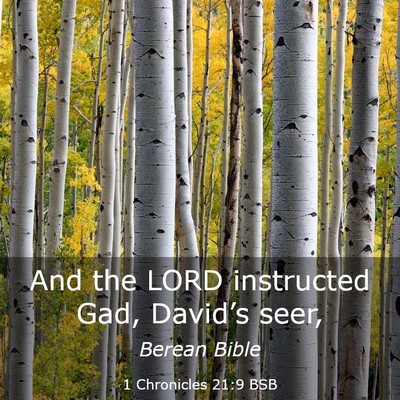 Picture 03 - 1 Chronicles 21:9 BSB - And the LORD instructed Gad, David’s - Bible Verse Picture