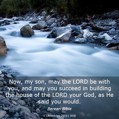 Picture 03 - 1 Chronicles 22:11 BSB - Now, my son, may the LORD be with you, and may - Bible Verse Picture