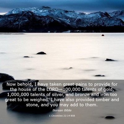 Picture 03 - 1 Chronicles 22:14 BSB - Now behold, I have taken great pains to provide - Bible Verse Picture