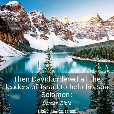 Picture 03 - 1 Chronicles 22:17 BSB - Then David ordered all the leaders of Israel to - Bible Verse Picture