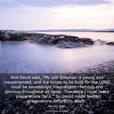 Picture 03 - 1 Chronicles 22:5 BSB - And David said, “My son Solomon is young and - Bible Verse Picture